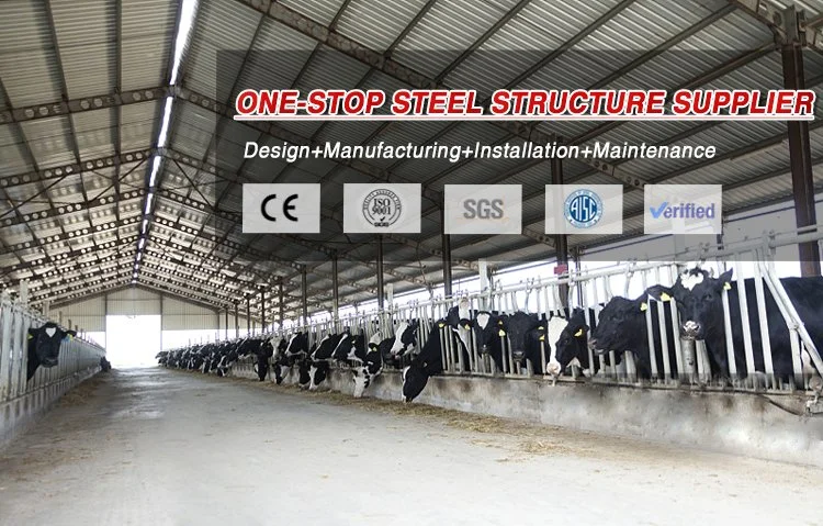 Hot Product Prefabricated Metal Barn Chicken House Customizable Cow Shed Pig Farm Steel Structure Farming